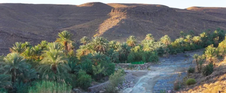 Au Maroc, l’eau devient un levier de transformation des territoires ruraux